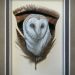 F-Covert-Feather-Painting-Barn-Owl-small-file