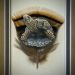 F-Covert-Feather-Painting-Turtle-small-file