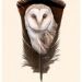 owl-barn-owl-painting-on-feather